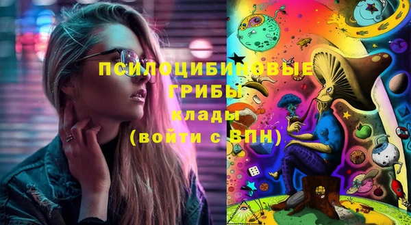 эйфоретик Богородск