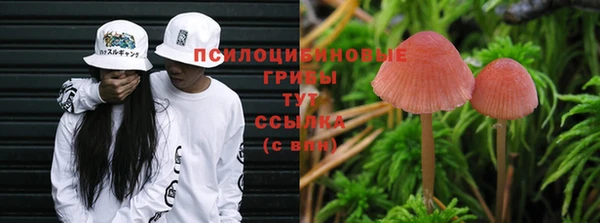 МДМА Бородино