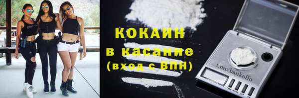 мдпв Богородицк