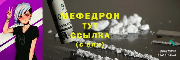 мдпв Богородицк