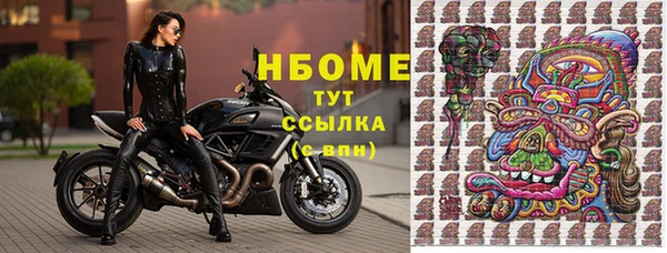 мдпв Богородицк