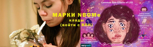 мдпв Богородицк