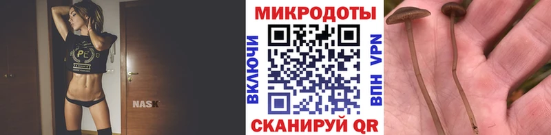 Галлюциногенные грибы Magic Shrooms  Купить закладки  Краснокаменск 